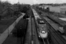 2O6A0585