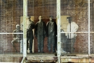 Artist depiction of psychiatric residents inside caged quarters. Similar to my work experience of mental facilities prior to deinstitutionalization
