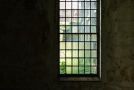 Large window. Ambient light