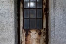 Steel door with windows