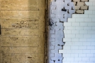 Operating room mural