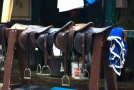 2o6a1370 Saddles ready for use