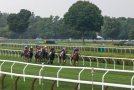 2o6a1404 Live race on