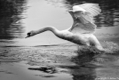 20130523-2o6a6759
