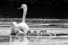 20130525-20130525-2o6a6883